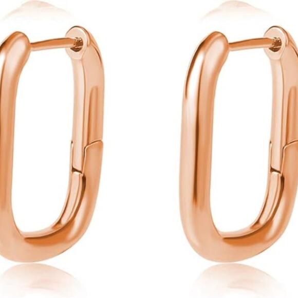 Rose Gold Rectangular Hoop Earrings - Picture 1 of 1
